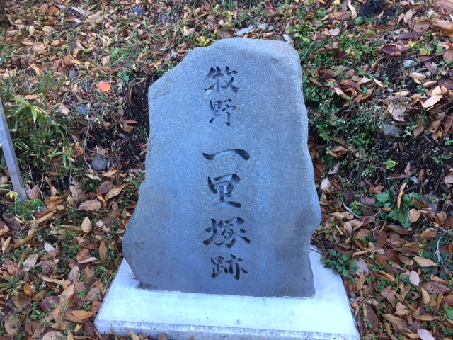 20171225028