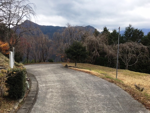 20180323036